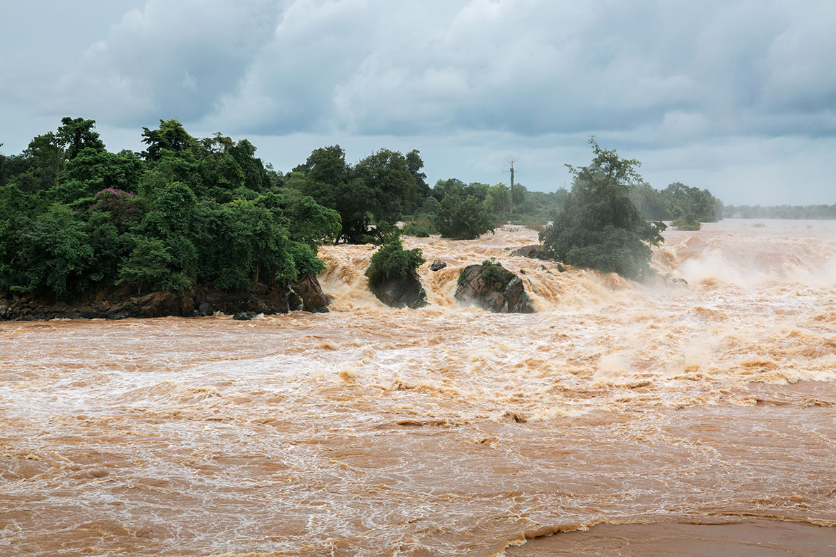 Disaster Risk Management (Flood)